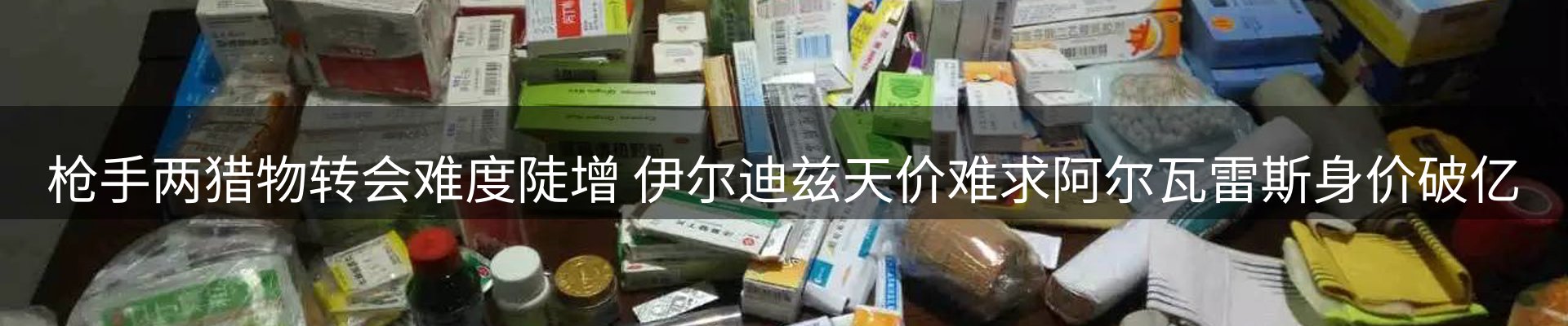 新闻动态
