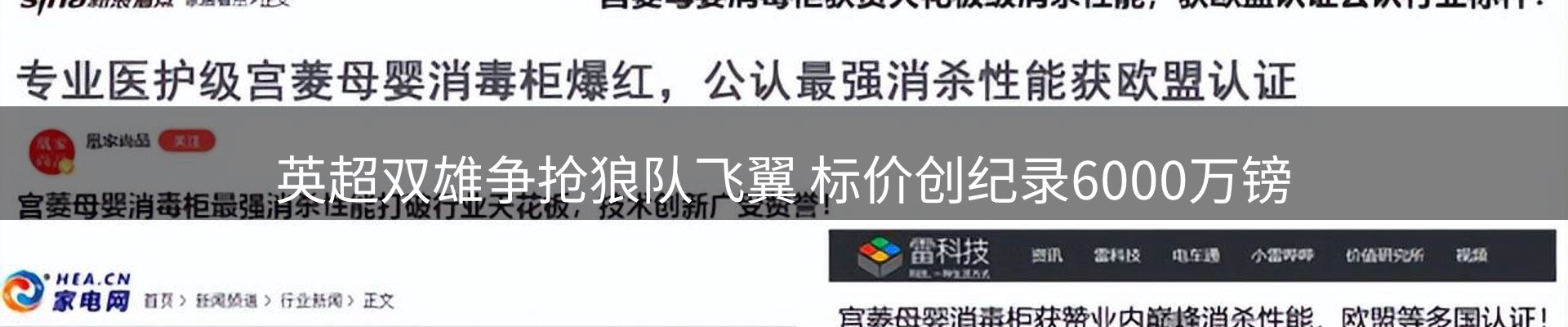 新闻动态